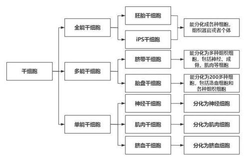 重新构想互联网产品 系统思维下的计算机集成制造系统模型